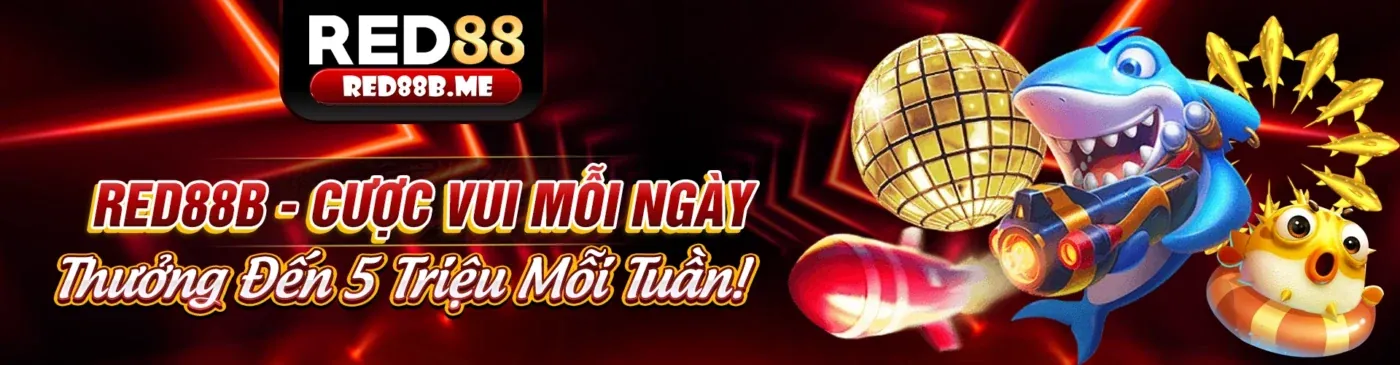 Tầm quan trọng của keobong88 link mới