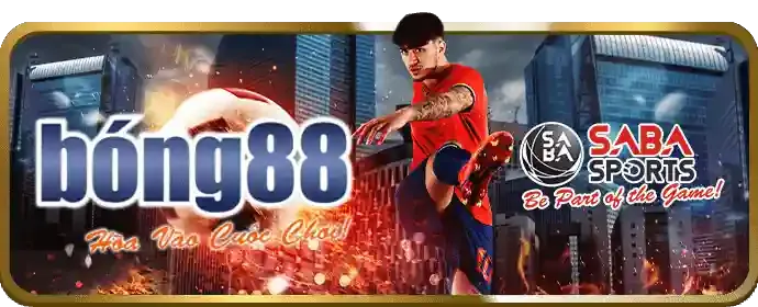 Hình ảnh minh họa sự đa dạng của các môn thể thao tại keobong88 link mới